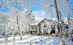 Sierra Resort Hakuba