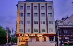HOTEL GRAND HRIDEY  20 steps from Railway station