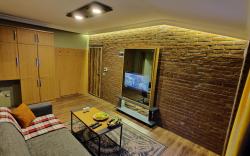 CONCEPT HOUSE