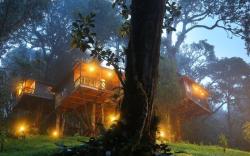 Nature Zone Jungle Resort