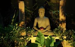 Hanu Reddy Residences Poes Garden