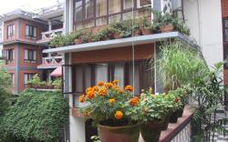 Green Hotel