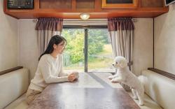 Goseong Jjun Camping Pension