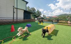 Hongcheon Stoneisland Pension