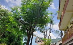 Hotel Krishna Rishikesh