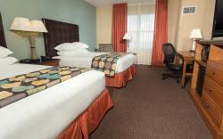 Drury Plaza Hotel San Antonio North Stone Oak