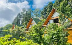 Sapa Pine Hill Ecolodge