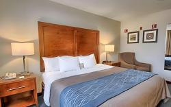 Bluffton Inn And Suites By IHG