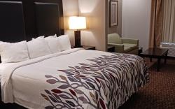 Red Roof Inn & Suites Longview