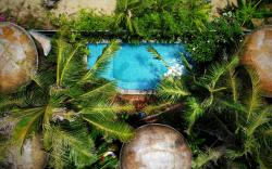 Cocohut Hoi An Homestay