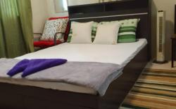 Pet Friendly Staycation in Valley Golf