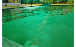 Green Resort