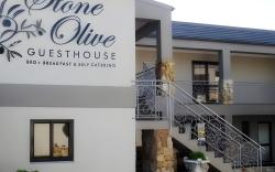 Stone Olive