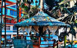 Betel Valley Tree Resort, Rangpo, Sikkim