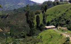 Eco Hotel Glamping El Silencio
