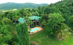 Jackaroo Treehouse Rainforest retreat