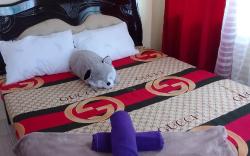 Pet Friendly Condo for Rent in Valley Mansions