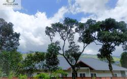 Apartment (2BHK) in Oryzaland Holiday Villa