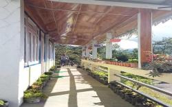 Sona Homestay by StayApart