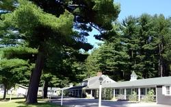 White Trellis Motel