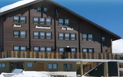 Alpenhotel zur Wildi Lauchernalp