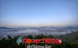 Flower hill 180