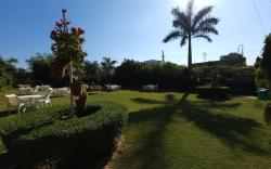 Green Club Farm