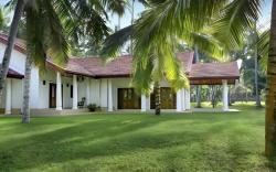 Coco Villa Peach Tree