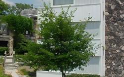 Quail's Nest Inn & Suites
