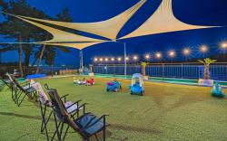 Namhae Spring, Summer, Fall, Winter Pet-