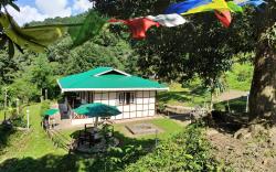 The Nettle and Fern Farmstay