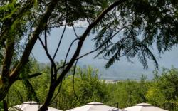 Sanctuary-Chitwan National Park