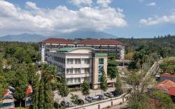 The Green Peak, ARTOTEL Curated