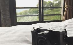 101 Tea Green View
