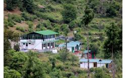 Auli Eco Nature Resort