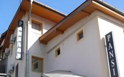 Pansion Stari Grad