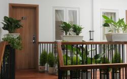 Feliz Dalat Homestay