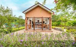 The Little White Bird Traveler Hostel