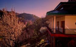 OrchidHomestay Kandaghat