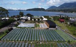 glamour camping bedugul