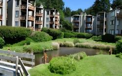 Little Creek Cove Beach Resort