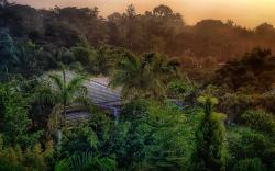 The Yellow Bamboo Resort & SPA