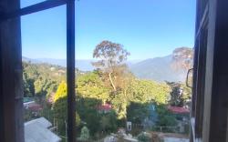 The Scarlett Homestay 