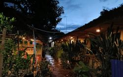 Siem Reap Homesteading II