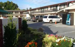 Apex Inn