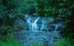 Wild Courtyard Vythiri