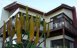 Beach House
