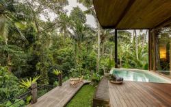Casa Pohon Ubud