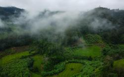 Thung Yung Homestay (Room 1)