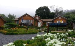 Oraview Pension